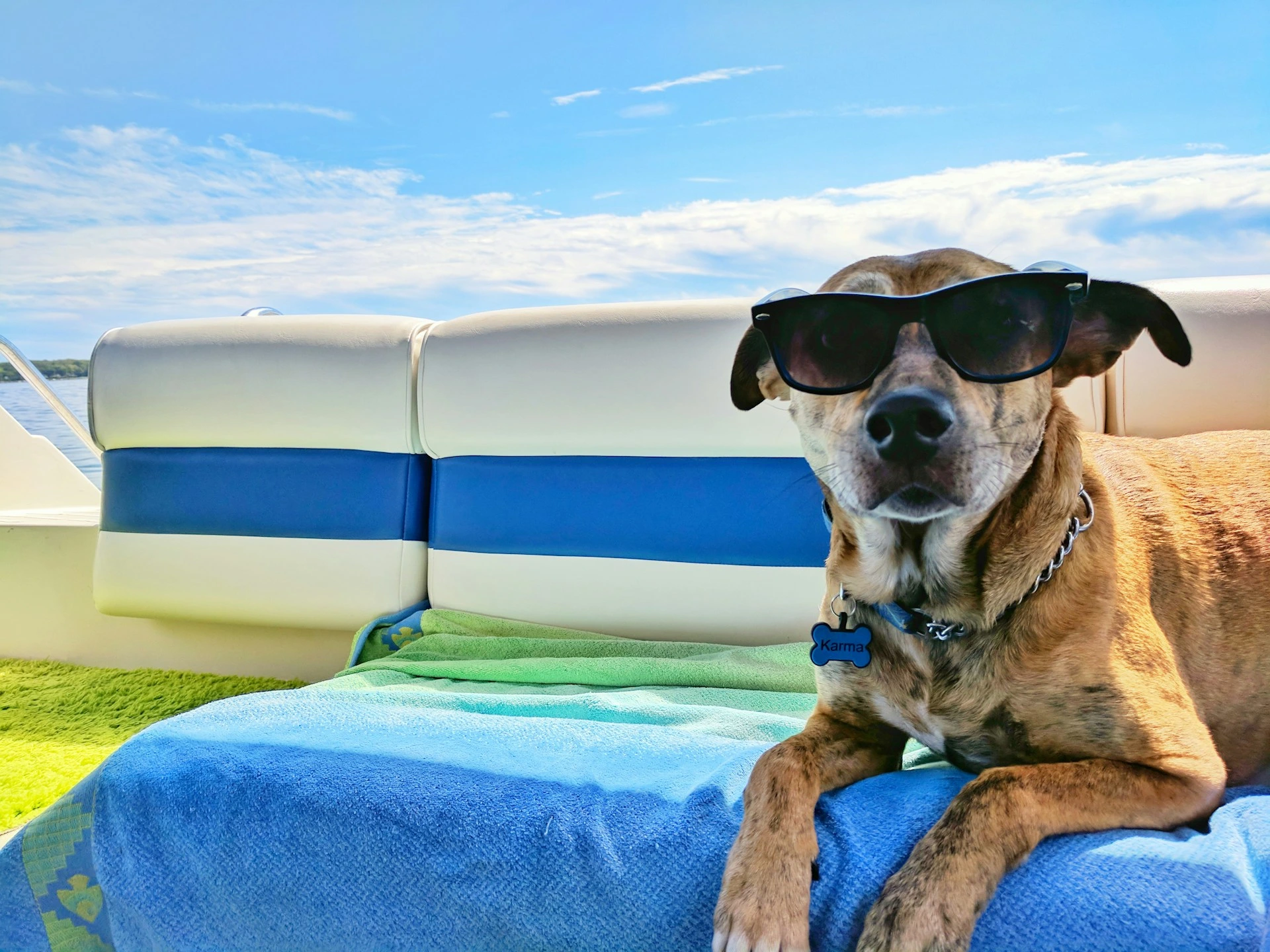 A dog wearing black sunglasses lies on a under a bright blue sky.